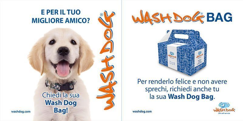 Jack wash the dog. Doggy Bag перевод. Wash the Dog перевод на русский.