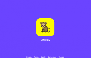 Monkey