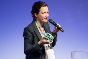 Baccarin studiate stem