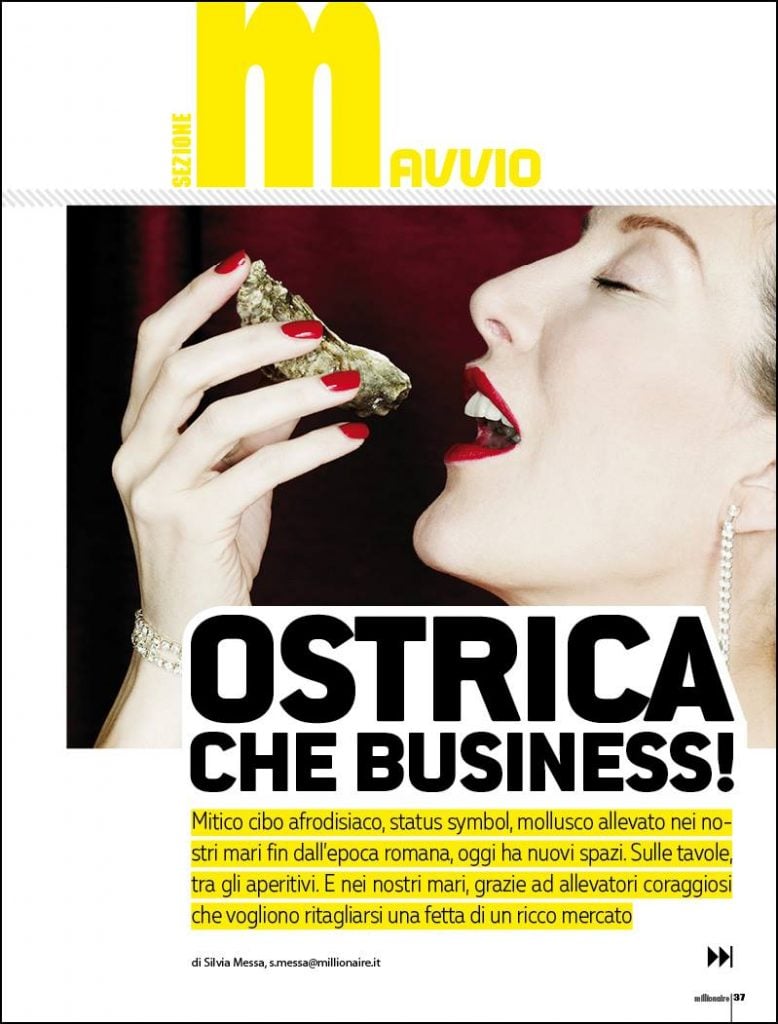 ostrica che business