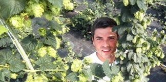 alessio saccoccio luppolo idroponico