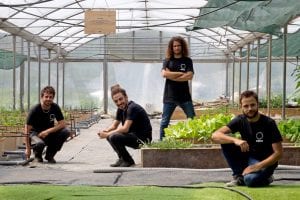 startup ambiente the circle