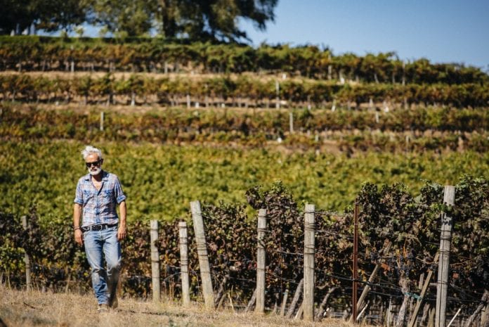 Marco_Simonit vigna marco simonit