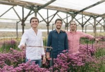 L’e-commerce dei fiori chiude un round da 14 milioni di euro colvin startup fiori