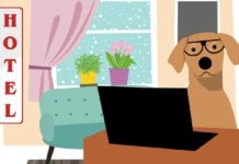 Home Restaurant Hotel raddoppia con Hotel Pet, dove i nostri quattrozzampe sono benvenuti Home-Restaurant-Hotel-Pet