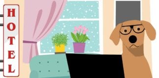 Home Restaurant Hotel raddoppia con Hotel Pet, dove i nostri quattrozzampe sono benvenuti Home-Restaurant-Hotel-Pet