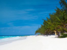 Smart working ai Caraibi con un visto speciale di 12 mesi: la proposta delle Barbados per rilanciare il turismo barbados