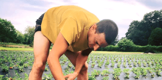 banchiere marmellate