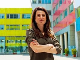 Arriva il percorso di PoliHub per diventare mentor di startup polihub claudia pingue