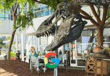 Google lancia in Italia un nuovo sito dedicato a piccole e medie imprese google