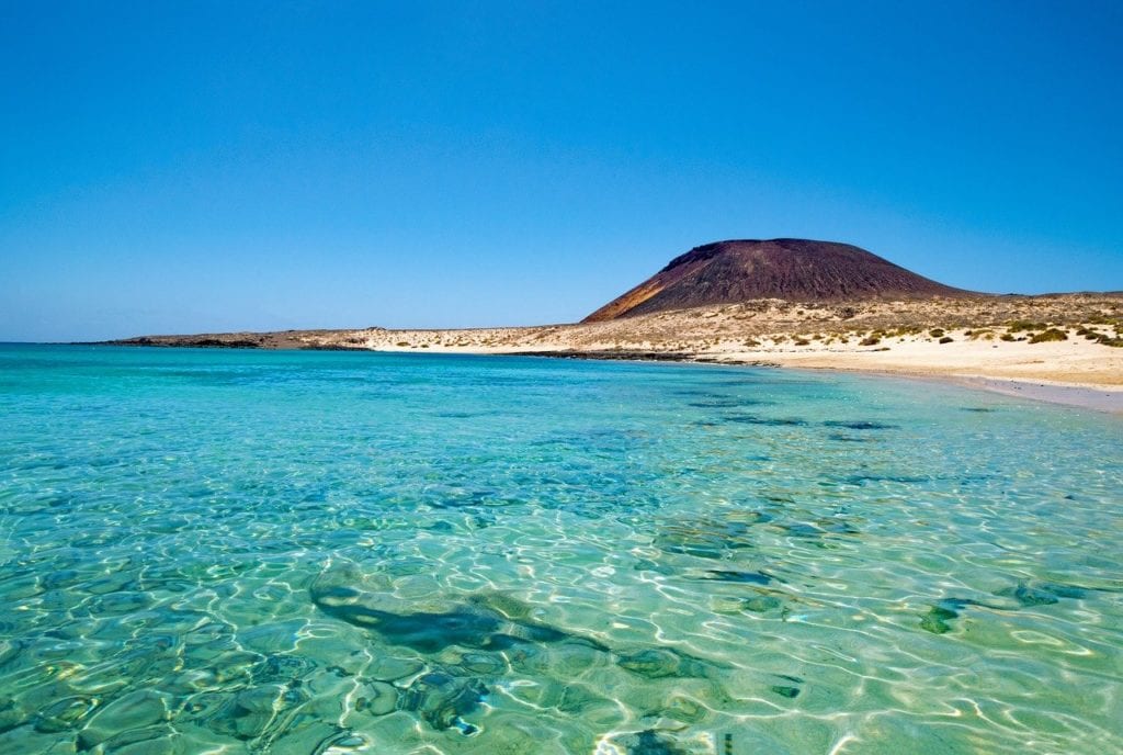 canarie