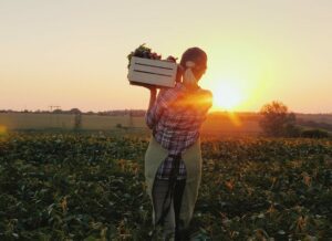 Brexit: lavoratori agricoli