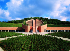 Petra, Cantine Moretti