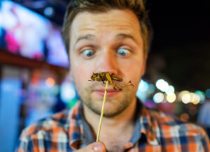 Caucasian young male eating cricket at night market in Thailand.