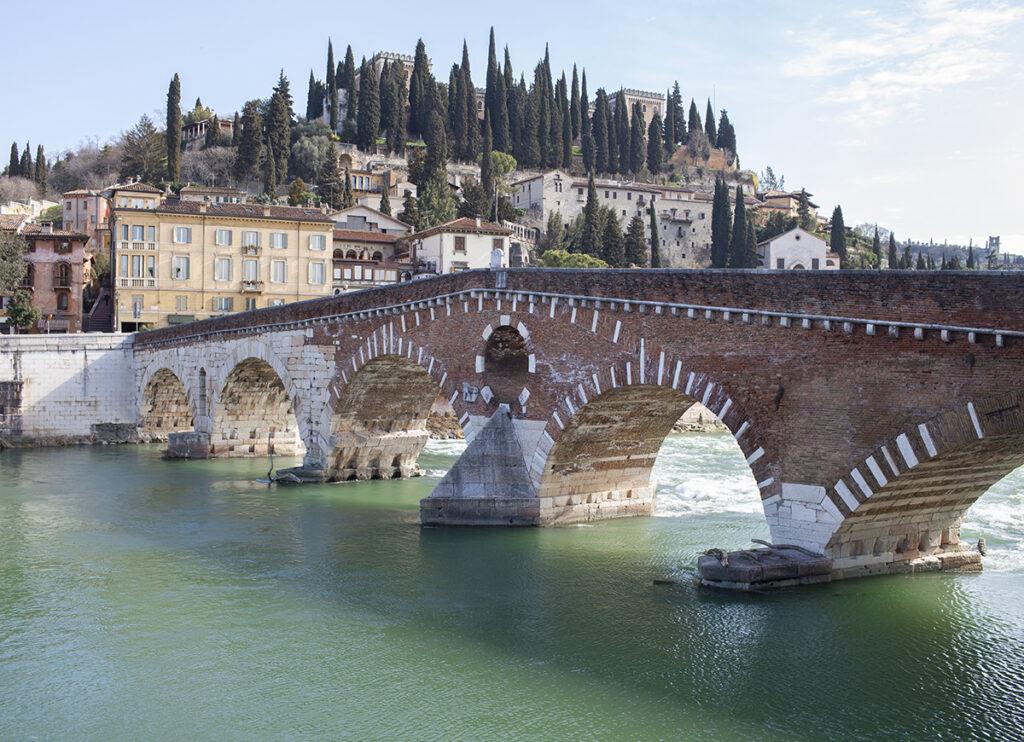 Nasce a Verona il primo acceleratore Agrifood