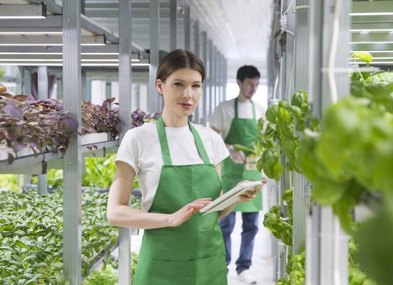 L’agritech del futuro: più attenzione alla sostenibilità
