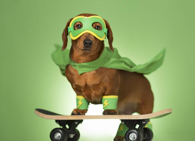 Mobilità elettrica, l’investimento del futuro