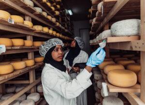 Negli USA i formaggi italiani sono i più contraffatti