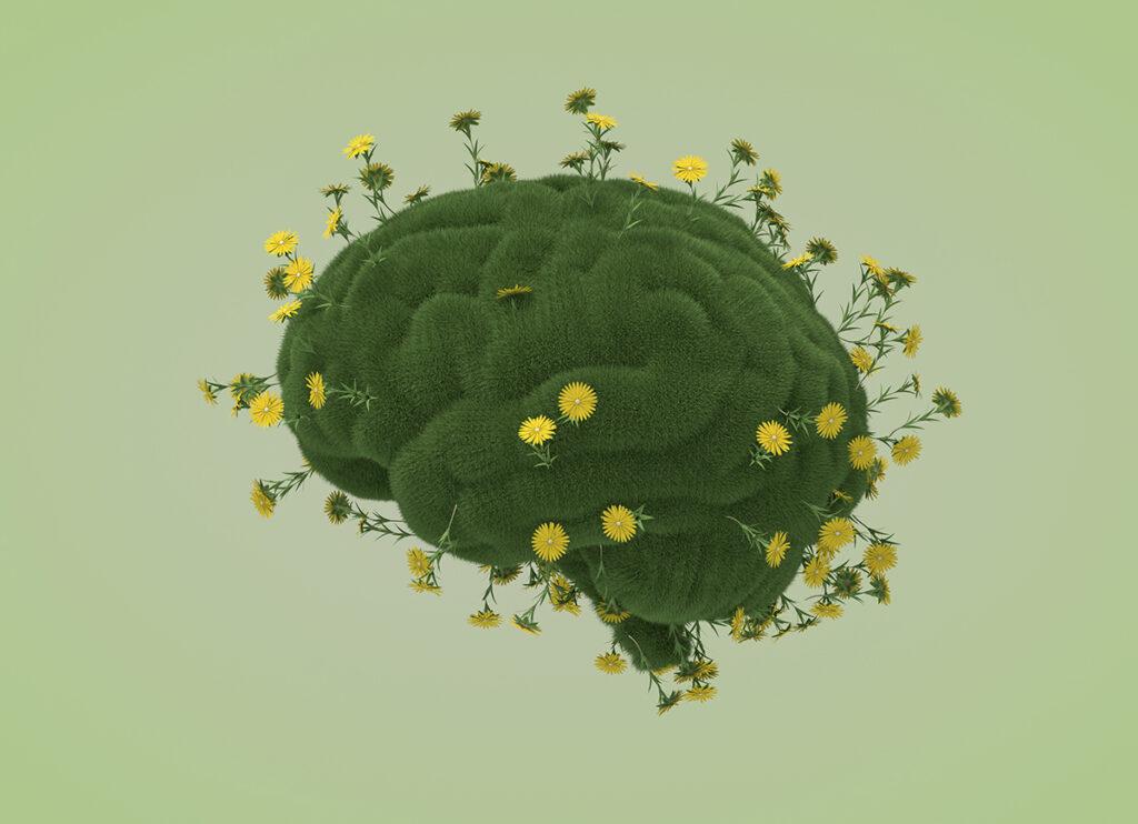 I rivoluzionari indicatori dell’UE per la transizione ecologica