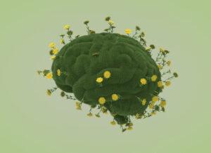 I rivoluzionari indicatori dell’UE per la transizione ecologica