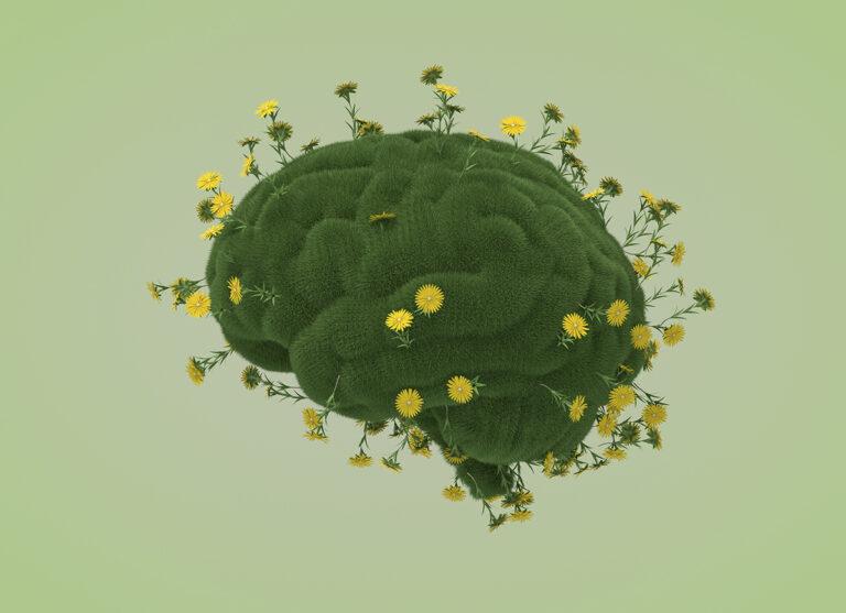 I rivoluzionari indicatori dell’UE per la transizione ecologica