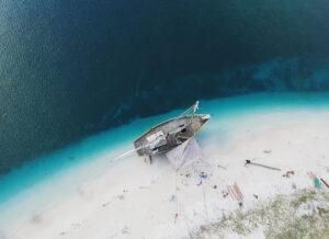 Ridiamo vita agli oceani