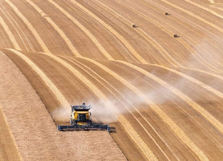 Agribusiness, un mercato fertile per PIL e lavoro