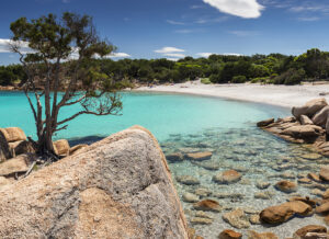 Regione Sardegna stanzia 360 milioni per l’innovazione locale e rurale