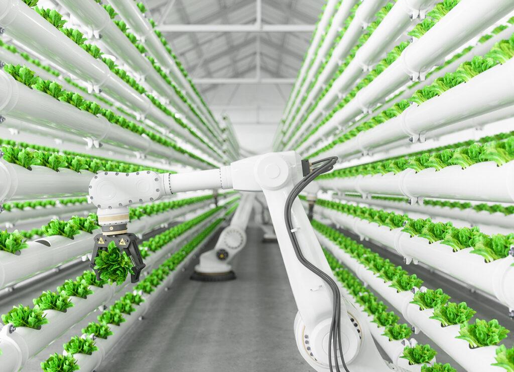 Sprint digitale delle imprese agricole, 1 su 4 investirà in 4.0 entro il 2024