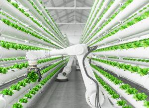 Sprint digitale delle imprese agricole, 1 su 4 investirà in 4.0 entro il 2024