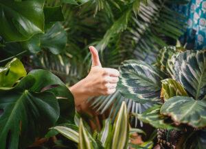 Piantala che fa bene