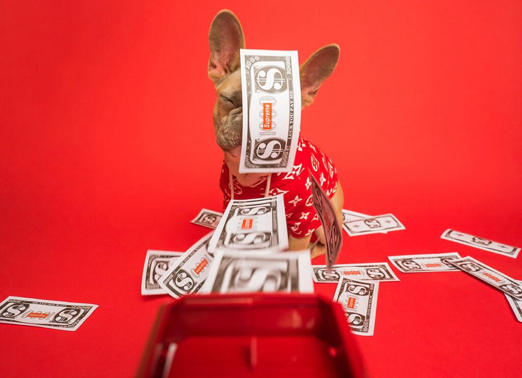 dipendenti imprenditori