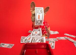 dipendenti imprenditori