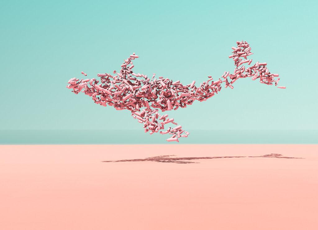 Le startup della Blue Economy, un business che vale 143 miliardi