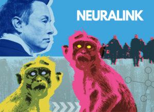Neuralink: indagine aperta per la misteriosa morte delle scimmie usate per gli esperimenti