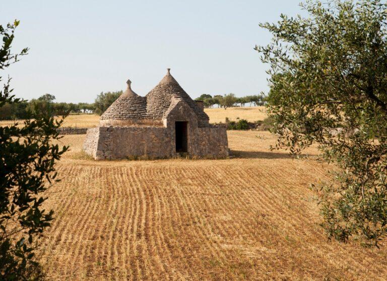 UE ordina: “Niente grano e mais in Pianura Padana e Puglia per un anno”.