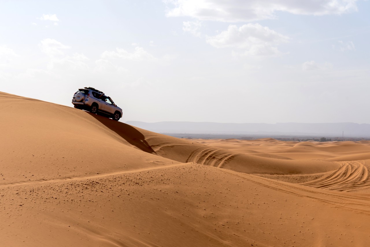 Photo: iStock / JHVEPhoto