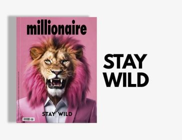 Millionaire novembre