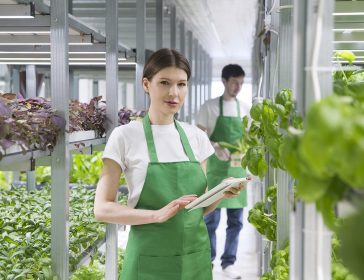 L’agritech del futuro: più attenzione alla sostenibilità