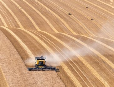 Agribusiness, un mercato fertile per PIL e lavoro