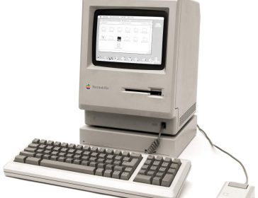 Wikimedia Commons / Felix Winkelnkemper