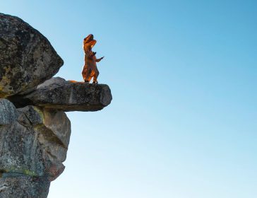 La nuova era del crowdfunding