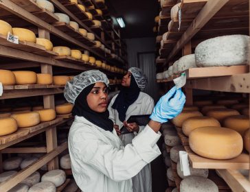 Negli USA i formaggi italiani sono i più contraffatti