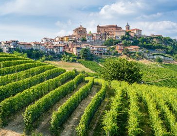 The beautiful village of La Morra and its vineyards in the Langhe region of Piedmont, Italy.
