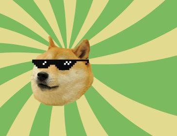 Meme coin: criptovaluta che nasce dallʼumorismo e dalla creatività della comunità online