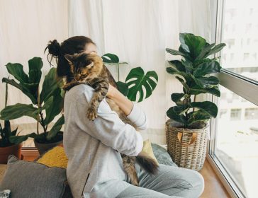 Pet-tech, un’industria in rapida crescita