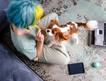 Quando si tratta dei nostri pets spendiamo di più in accessori e meno per cibo salutare