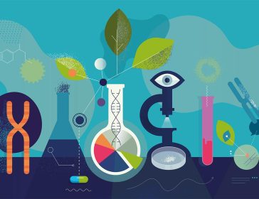 Bio4Dreams incubatore delle startup Life Sciences