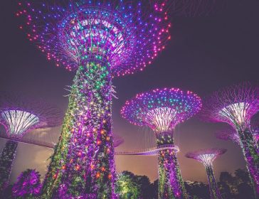 SINGAPORE_WEB