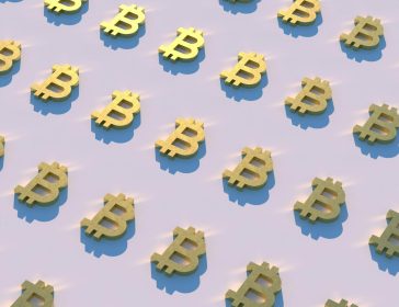 alexander-mils-6LN8uq9zsJk-unsplash